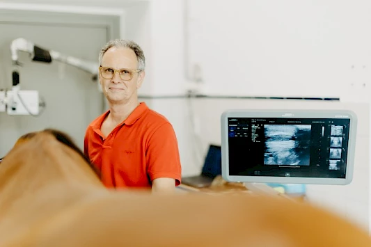 Lahmheitsdiagnostik mit Ultraschall