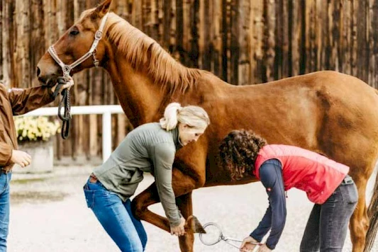 Artikel Weekend Magazin Nr.9 Seite 42/43