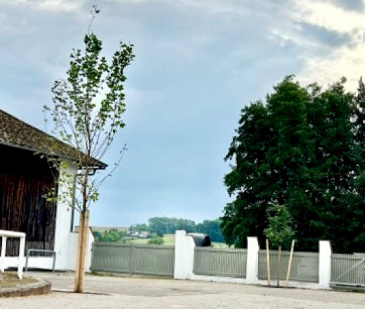 Wir haben Bäume gepflanzt - als Zeichen für Nachhaltigkeit, Lebensfreude und Zukunft.