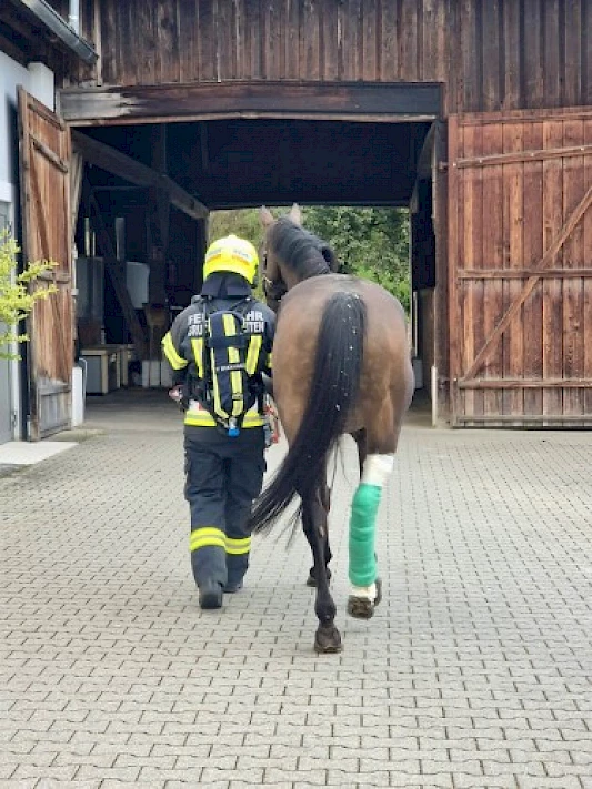 Feuerwehrübung in unserer Pferdeklinik