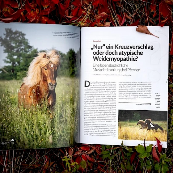 Unsere Tierärztin Mag. Barbara Dock hat für das Magazin des österreichischen…